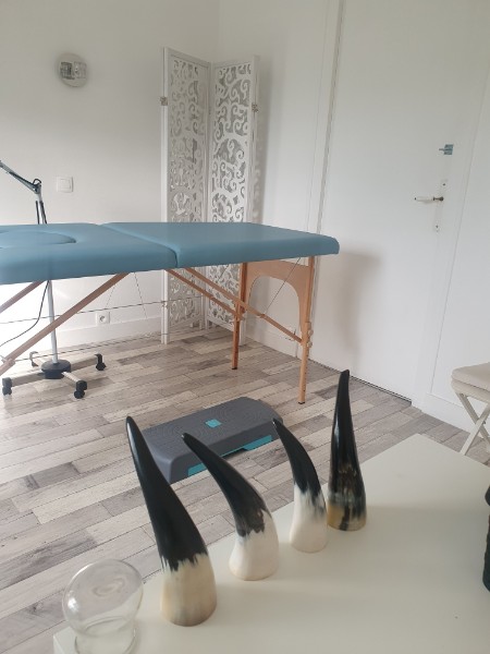 inet-hijama-cupping-nantes